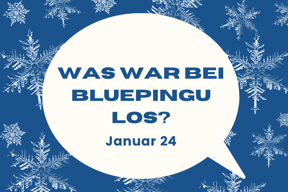Die Bluepingu-Highlights im Januar