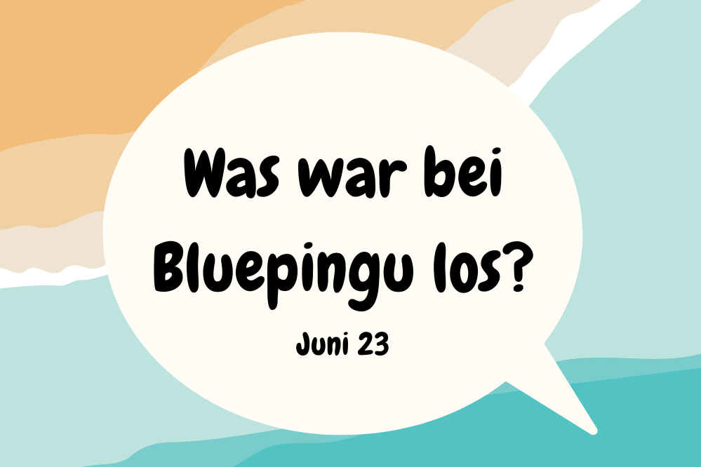 Die Bluepingu-Highlights im Juni