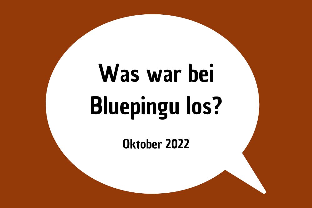 Die Bluepingu-Highlights im Oktober