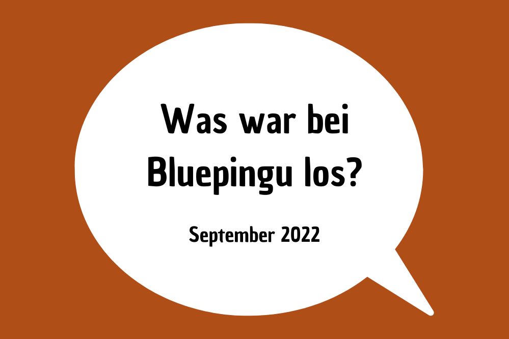 Die Bluepingu-Highlights im September