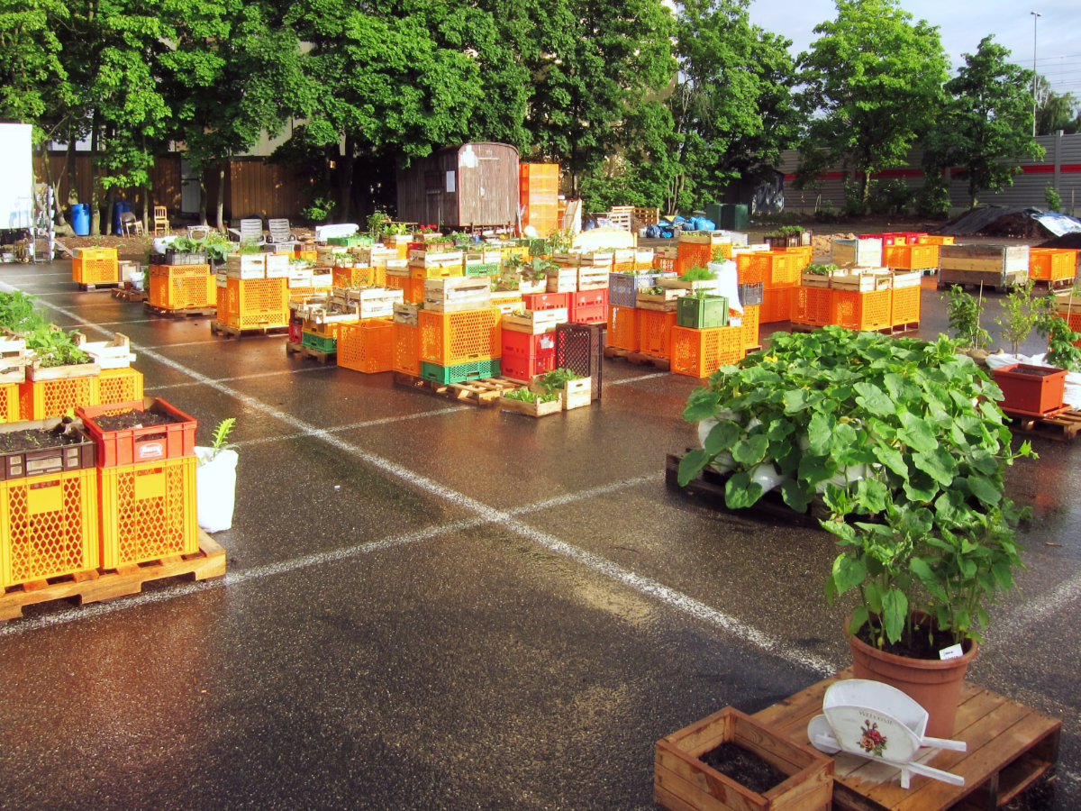 10 Jahre Urban Gardening in Nürnberg und wie alles begann