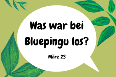 Die Bluepingu-Highlights im März