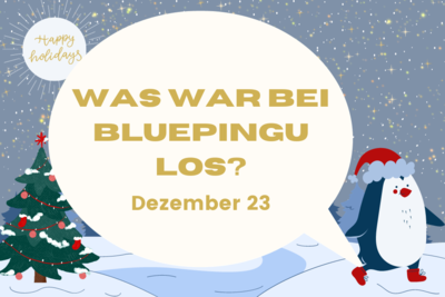 Die Bluepingu-Highlights im Dezember