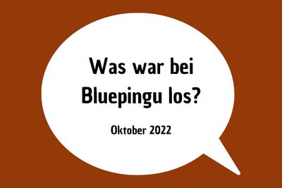 Die Bluepingu-Highlights im Oktober