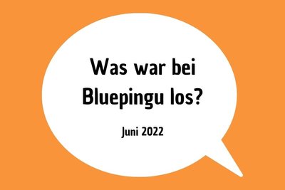 Die Bluepingu-Highlights im Juni